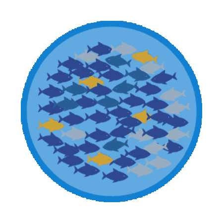 Fish Sticker by Skallywag Media