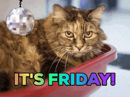 Video gif. A montage of cute animals have animated, pixelated sunglasses slide down over their faces before messages celebrating Friday appear. Text, "Happy Friday!", "It's Friday!"