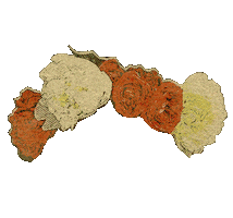 Clementine Sticker by Mimosas by the sun