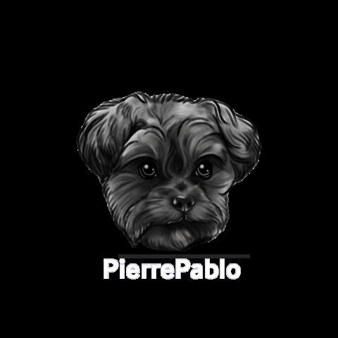 PierrePablo GIF