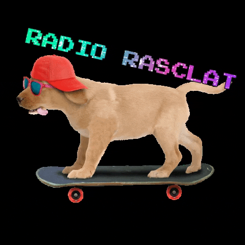 Kassel GIF by Radio Rasclat