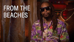 Lil Jon Abc GIF by Bachelor in Paradise