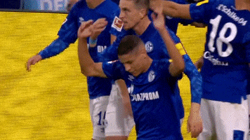 Happy Football GIF by FC Schalke 04