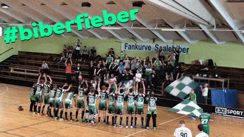 Floorball Unihockey GIF by USV Halle Saalebiber