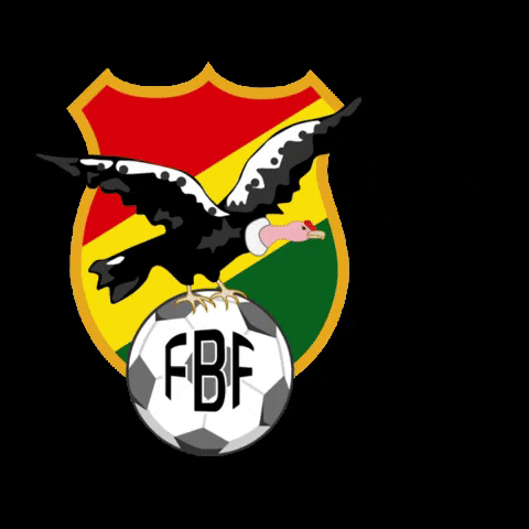 bolivia equipo GIF by Copa América