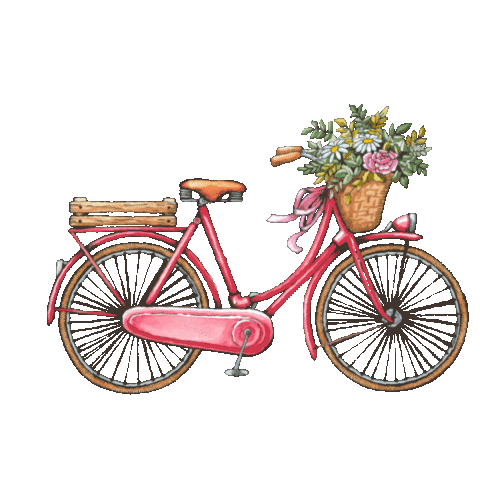 Bike Sticker