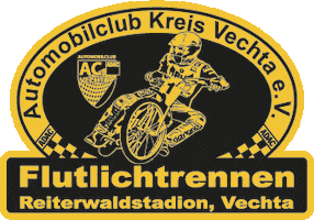 Racing Speedway GIF by acvechta