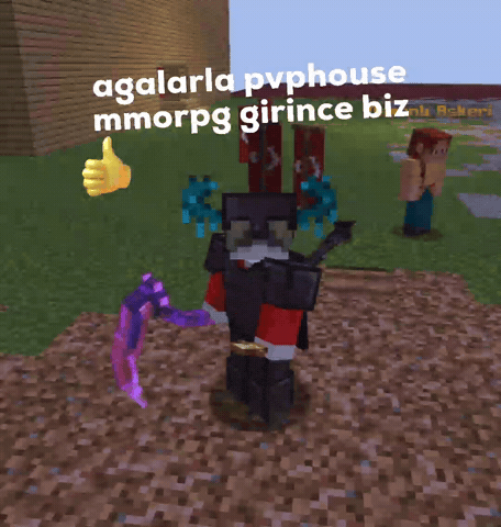 pvphouse_mc GIF