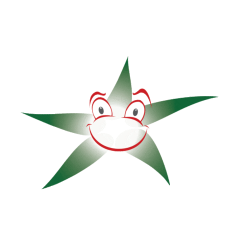 Aster Sticker by Colégio Áster