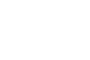 Platinum University Sticker