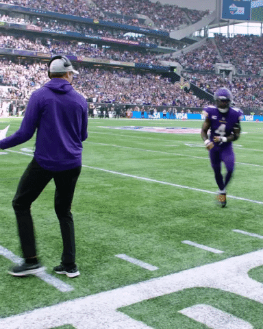 Touchdown Celebration GIF by Minnesota Vikings