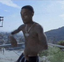 Flight Flightreacts GIF