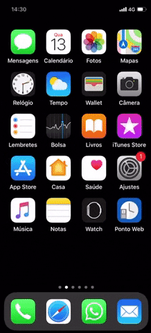 Ponto Web GIF