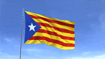Flag Independence GIF