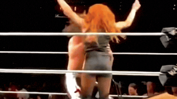 Seth Rollins Wwe GIF