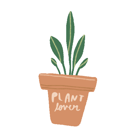 Plant Sticker