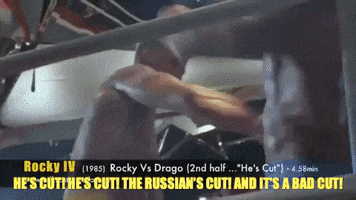 Rocky GIF