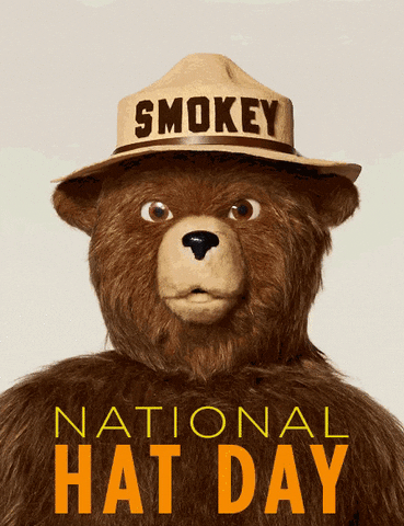GIF by Smokey Bear