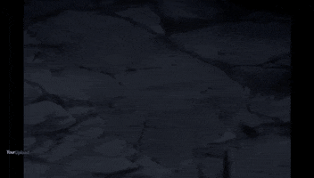 Gore GIF