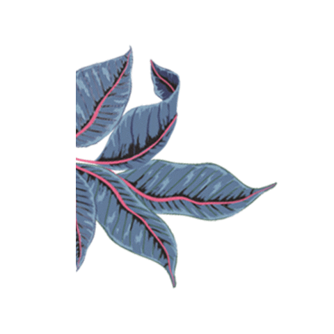 Flower Peace Sticker by HIPANEMA