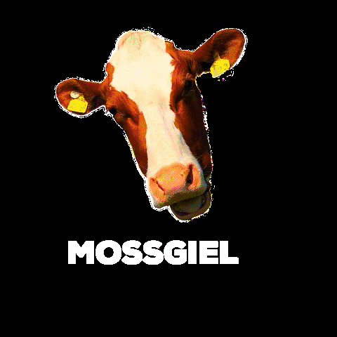 MossgielFarmMilk milk cow farm dairy GIF