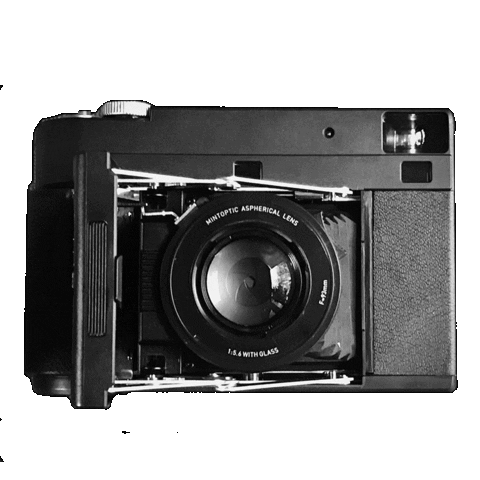 Photography Camera Sticker by 8storeytree