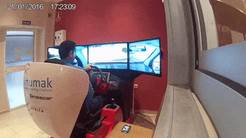 Driving Simulation GIF