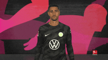 Vfl Wolfsburg Wink GIF by Bundesliga