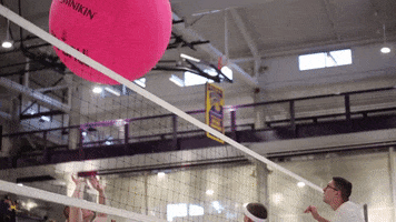 Pink College GIF by Western Illinois University
