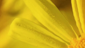 Positive Steps Into Social Mobility GIF
