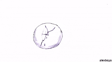 200.gif?cid=fc005b0835a2a2036fd032332826fb96fd903f50ed107be3&rid=200.gif&ct=g