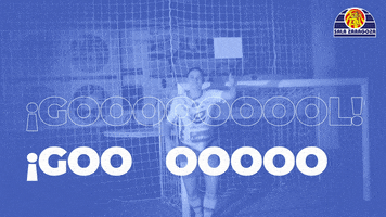 Goal Futsal GIF by Sala Zaragoza