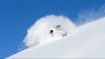 tourismfernie winter skiing pow powder GIF