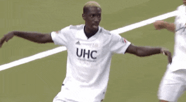 Celebrate New England GIF by Major League Soccer