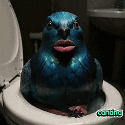 GIF by Cantina