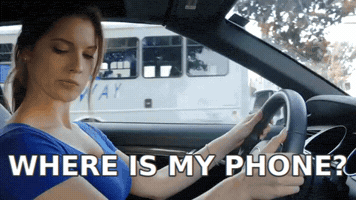 phuongtai  GIF