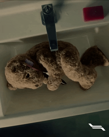 Flytoget GIF