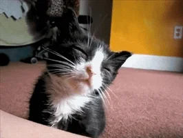 good night buenas noches GIF