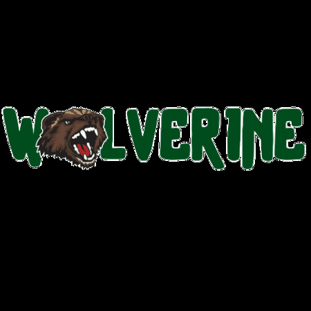 Wolverine GIF by ghspto