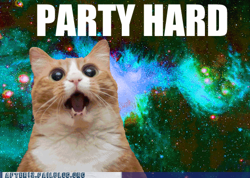 Party Cat GIF