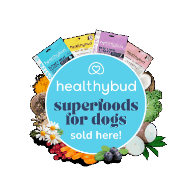 Dog Treats Superfoods Sticker by healthybud