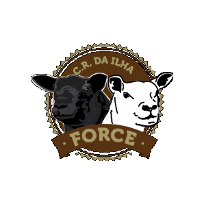 Bouwman50Anos Sticker by bouwman