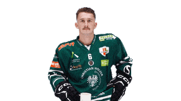Goal Hockey Sticker by EC Bregenzerwald