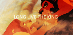 the lion king GIF