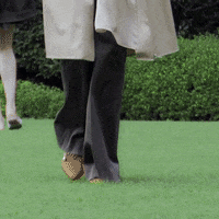 200.gif?cid=fc005b08cbf26e7903ea056b68f4a32df5fa77632ba12a99&rid=200.gif&ct=g