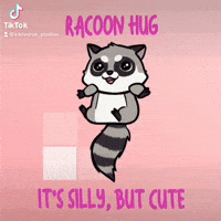 Racoon Hug