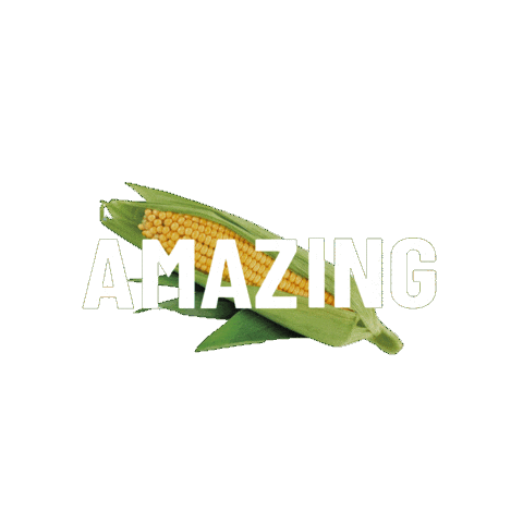 Maize Sticker by Foodmaker