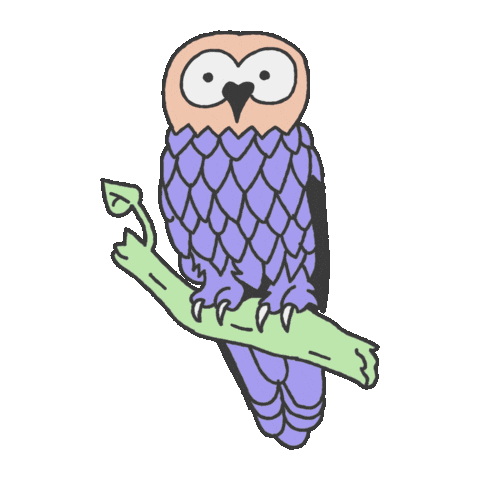 Wink Owl Sticker by SXSW