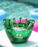 200.gif?cid=20e14a2a79iua1zrk8y8vnotfegkonmgoxvdvuq8zhqgf0h5&ep=v1_gifs_search&rid=200.gif&ct=g