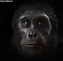 ape GIF